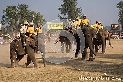 Elephants polo players during elephants polo, Nepal Editorial Stock Photo