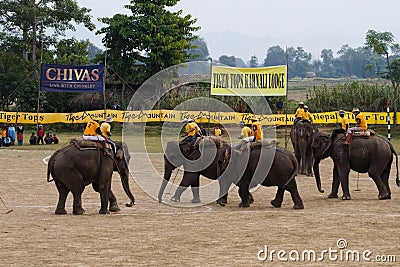 Elephants polo players during elephants polo, Nepal Editorial Stock Photo
