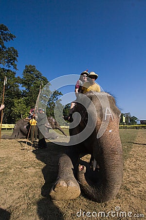 Elephants polo players on their elephants during elephants polo, Nepal Editorial Stock Photo