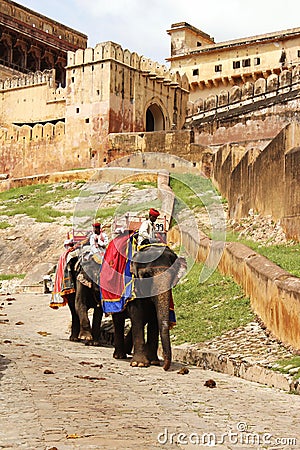 Elephants raising tourists to the entrance to Amber Fort. Jaipur, India Editorial Stock Photo