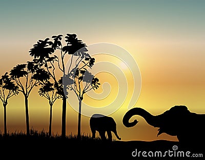 Elephants at Sunrise Stock Photo