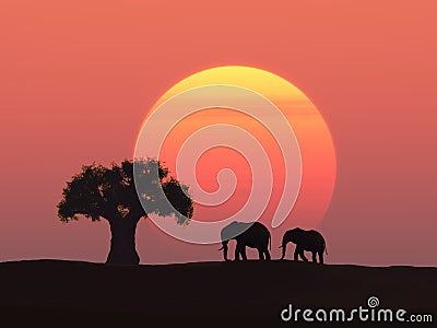 Elephants at sunset Stock Photo
