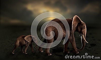 Elephants walking baby elephant in desert Stock Photo