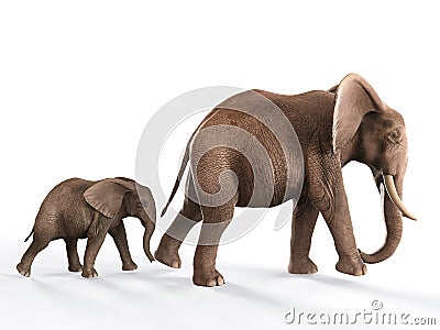 Elephants walking baby elephant Stock Photo