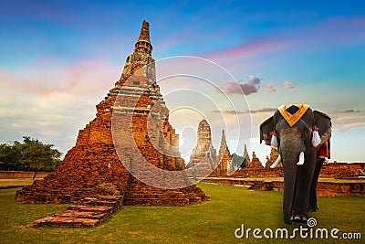 Elephants at Wat Chaiwatthanaram temple in Ayuthaya Historical Park, a UNESCO world heritage site, Thailand Stock Photo