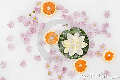 elevated view bath milk decorated with grapefruit slices lotus pink flowers. High quality photo Stock Photo