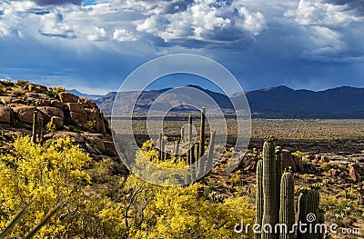 Elevated View Of North Scottsdale, Arizona in the Spring Stock Photo