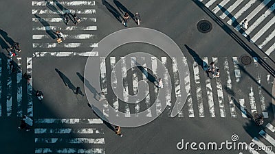 Elevated view over a crowd of japanese pedestrian crossing in road intersection Editorial Stock Photo