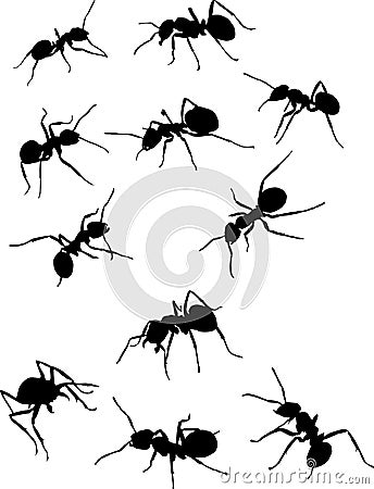 Eleven ant silhouettes Stock Photo