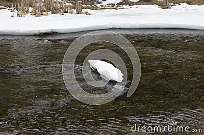 Elevenmile Canyon Recreation Area in Early Spring Stock Photo