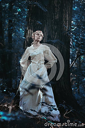 Elfin girl in a moonlight forest Stock Photo