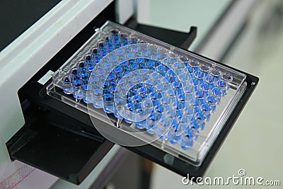 ELISA plate to measure OD with micro plate reader Stock Photo