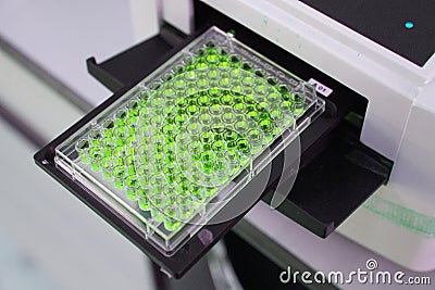 ELISA plate to measure OD with micro plate reader Stock Photo