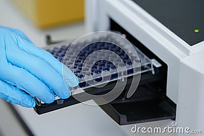 ELISA plate to measure OD with microplate reader. Stock Photo