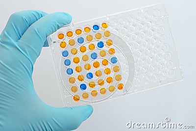 ELISA testing Stock Photo