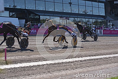 210530 - Elitloppet trotting event at Solvalla track in Stockholm Sweden. Editorial Stock Photo