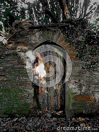 Elizabethern Door 100s of years old on a old disused sunken Lane in Devon uk Stock Photo
