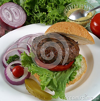 Elk burger Stock Photo