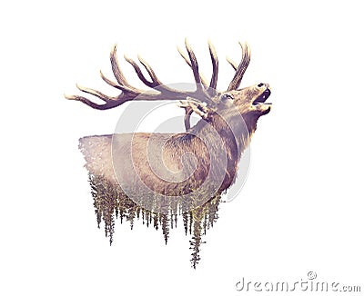 Elk and Forest. Watercolor Double Exposure effect Stock Photo