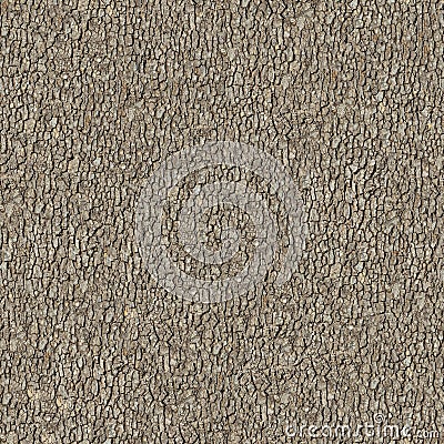 Elm Bark. Seamless Tileable Texture. Stock Photo