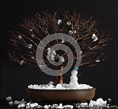 Elm bonsai tree with snowman Stock Photo