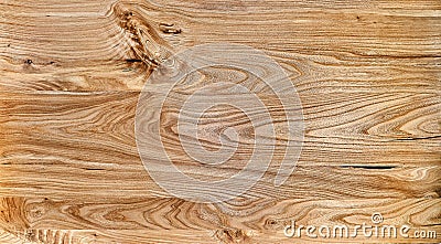 Elm slab texture. Live edge elm countertop. Wood texture Stock Photo