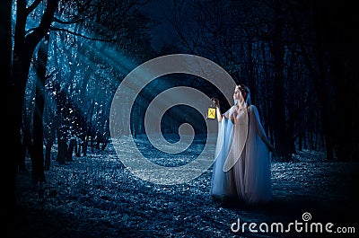 Elven girl with lantern at night forest Stock Photo