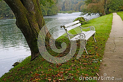 Embankment along the river with a view of a tree and a white bench. Fall Stock Photo