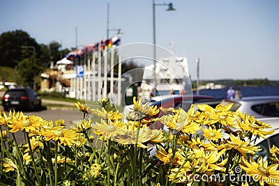 embankment sunlight yellow flower close-up boat cars river summer day bokeh background Stock Photo