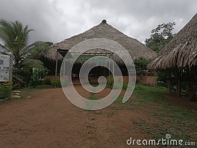 Embera Village Panama Rural Picture Stock Photo