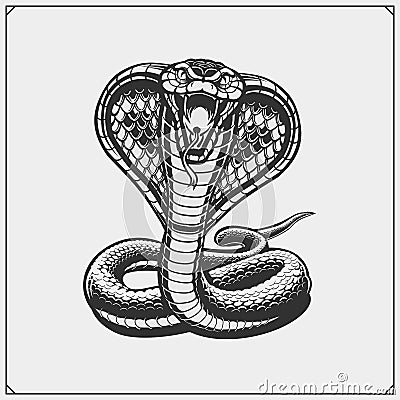 The emblem with king cobra for a sport team. Vector Illustration