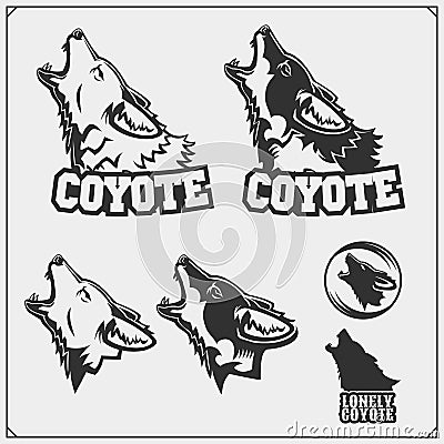 The emblems with coyote for a sport team. Vector Illustration