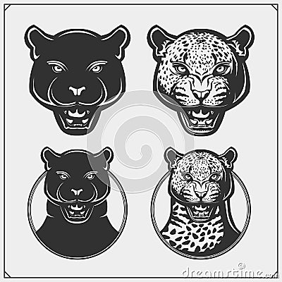 The emblems with panther and leopard for a sport team. Design for t-shirt. Vector Illustration