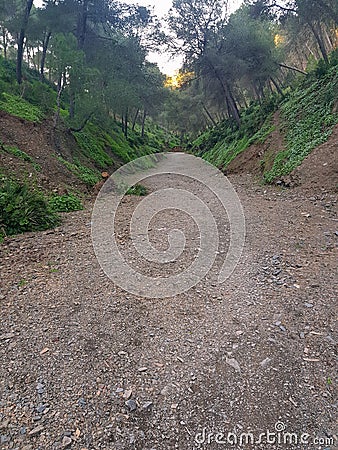 Embrace the untamed beauty of the wild cliffs footpath Stock Photo