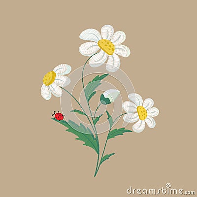 Embroidered chamomile flowers on a brown background. Vector illustration Cartoon Illustration