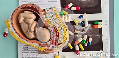 Embryo model fetus and medicine and medical pills Stock Photo
