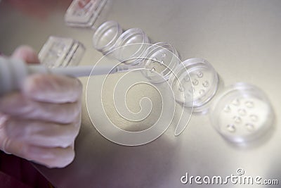 Embryologist preparing cultures Stock Photo