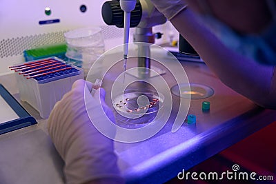 Embryologist working with biomaterial in the clinic Stock Photo