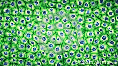 Embryonic bright green stem cells colony under a microscope 3D illustration Cartoon Illustration