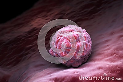 Embryonic stem cells Cartoon Illustration