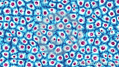 Embryonic stem cells colony under a microscope 3D illustration Cartoon Illustration