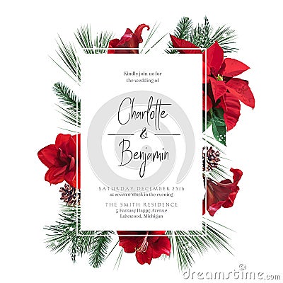 Emerald christmas greenery, red poinsettia, amaryllis, spruce, fir vector design frame Vector Illustration