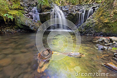 Emerald Falls along Gorton Creek with Driftwood in Oregon Stock Photo