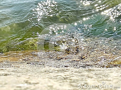 emerald Green sea wter wave and splash reflection on sun beams seascape Stock Photo