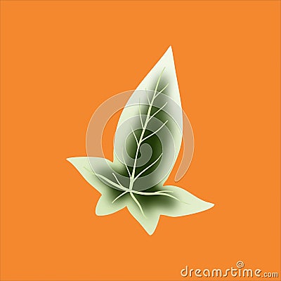 emerald jewel Hedera helix Vector with background Vector Illustration