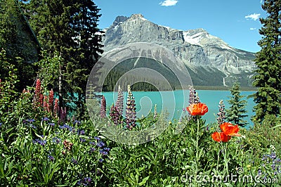 Emerald lake in summer Stock Photo