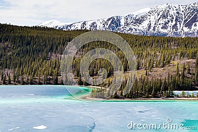 Emerald Lake and Surprise Mountain in Yukon, Canada Stock Photo