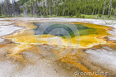 Emerald Pool Hot Springs and Forest Stock Photo
