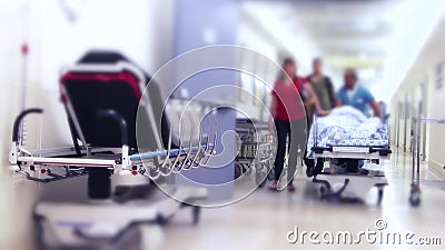 Bacteria Escherichia Coli Stock Footage Video Of Cell Bacteria Escherichia Coli Stock Footage Video Of Cell