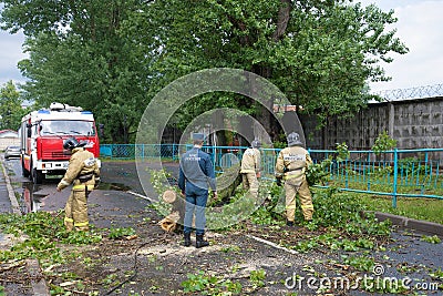 Emergency workers are clearing the roadway from the collapsed old tree. Saint Petersburg Editorial Stock Photo